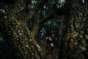 BIB: 
                            <button type="button" onclick="openModal(25679103)" class="btn btn-primary btn-sm float-right btn-popup" data-toggle="modal" data-target=".modal-high-quality">
                        <i class="fas fa-shopping-cart"></i> Add to Cart
                    </button>
                                            <button type="button" onclick="isThisMe(25679103, true)" class="btn btn-success btn-sm float-right btn-popup btn-isme hidden" data-toggle="tooltip" data-placement="bottom" title="นี่คือรูปของคุณใช่ไหม คลิกที่นี่เพื่อเอาเข้าอัลบั้ม">
                        <i class="fas fa-plus"></i> Add to album
                    </button>
                    <button type="button" onclick="isThisMe(25679103, false)" class="btn btn-warning btn-sm float-right btn-popup btn-isnotme hidden">
                        <i class="fas fa-ban"></i> Remove from album
                    </button>